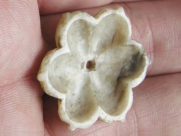 Flower 364 - (3572)